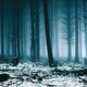 Illustration for article titled Prepare Now for a Long Winter